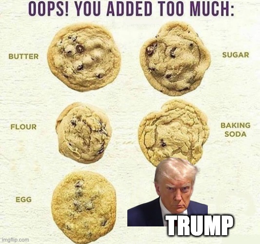 Oops, You Added Too Much | TRUMP | image tagged in oops you added too much | made w/ Imgflip meme maker