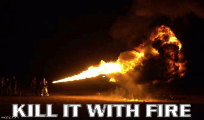 kill it with fire | image tagged in kill it with fire | made w/ Imgflip meme maker