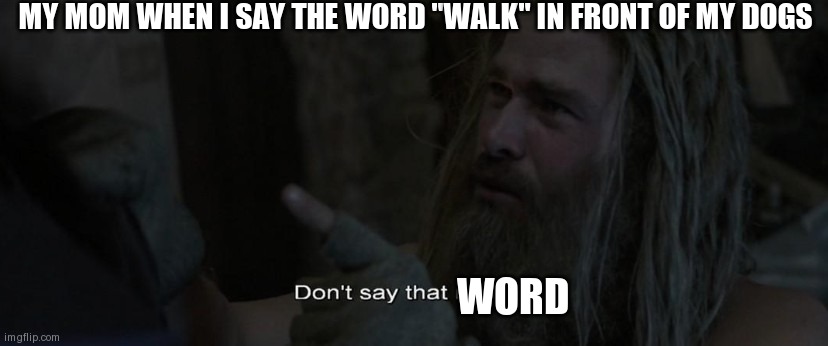 My dogs start wagging their tail | MY MOM WHEN I SAY THE WORD "WALK" IN FRONT OF MY DOGS; WORD | image tagged in don't say that name | made w/ Imgflip meme maker