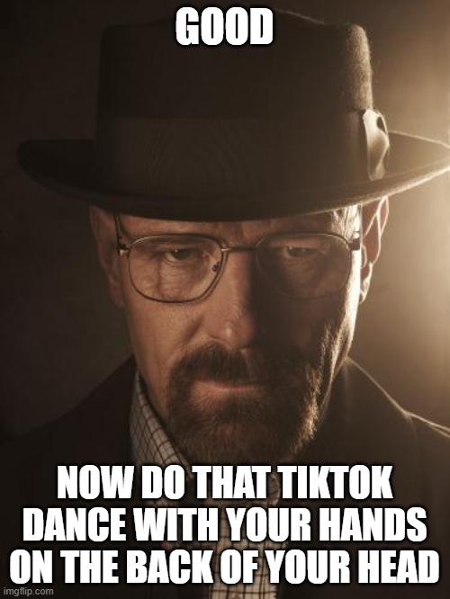 Walter White | GOOD NOW DO THAT TIKTOK DANCE WITH YOUR HANDS ON THE BACK OF YOUR HEAD | image tagged in walter white | made w/ Imgflip meme maker