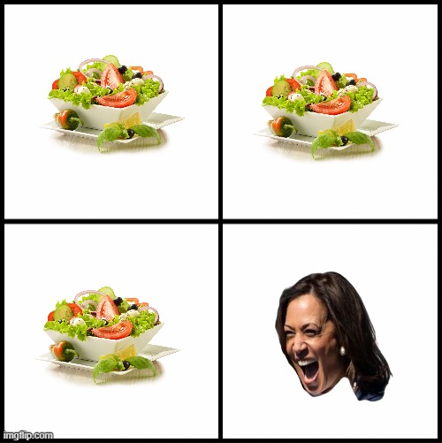 in the picture Below select a Salad!! LOL | image tagged in blank drake format,democrats,salad,kamala harris,california | made w/ Imgflip meme maker