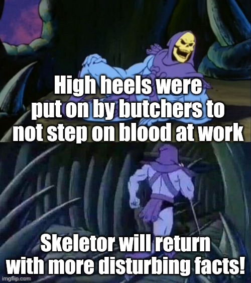 Very disturbing indeed | High heels were put on by butchers to not step on blood at work; Skeletor will return with more disturbing facts! | image tagged in skeletor disturbing facts,butcher,high heels | made w/ Imgflip meme maker