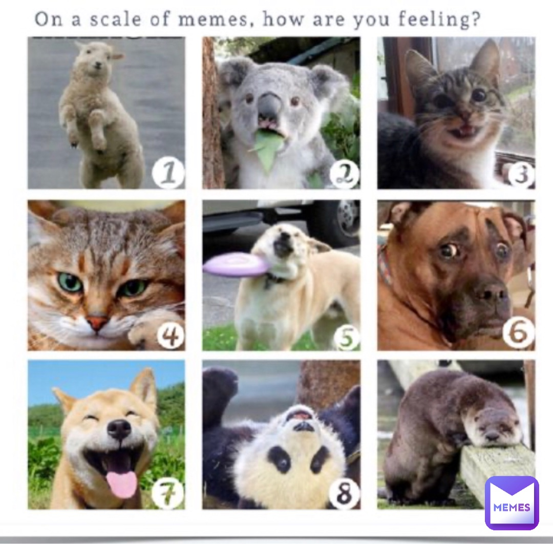 High Quality scale of memes Blank Meme Template
