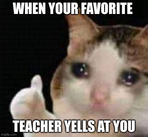 When your favorite teacher yells at you | WHEN YOUR FAVORITE; TEACHER YELLS AT YOU | image tagged in approved crying cat,ouch | made w/ Imgflip meme maker