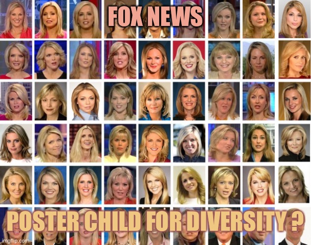 FOX NEWS POSTER CHILD FOR DIVERSITY ? | made w/ Imgflip meme maker