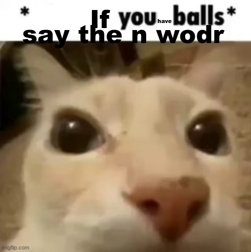 become racist. | say the n wodr; If; have | image tagged in x your balls | made w/ Imgflip meme maker