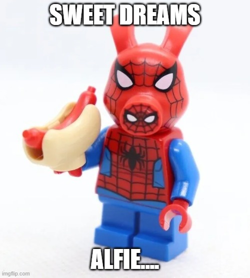 SWEET DREAMS; ALFIE.... | image tagged in y u no | made w/ Imgflip meme maker