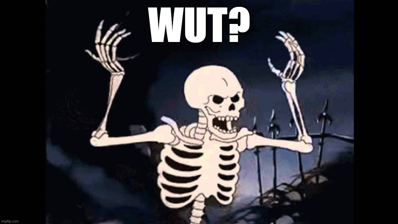 WUT? | image tagged in spooky skeleton | made w/ Imgflip meme maker