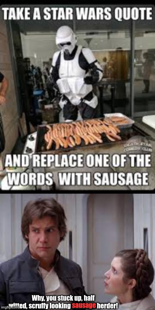 Why, you stuck up, half witted, scruffy looking sausage herder! sausage | image tagged in stormtrooper sausage | made w/ Imgflip meme maker