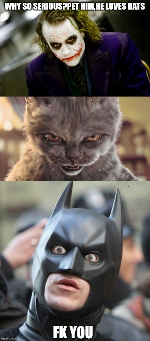 WHY SO SERIOUS?PET HIM,HE LOVES BATS; FK YOU | image tagged in why so serious joker,evil cat,shocked batman | made w/ Imgflip meme maker