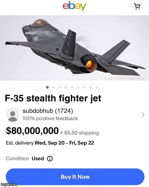 Slightly used jet for sale... a few minor scrapes from trees... | image tagged in stealth,jet,for sale,ebay | made w/ Imgflip meme maker