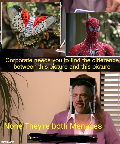 Menaces | image tagged in spiderman | made w/ Imgflip meme maker