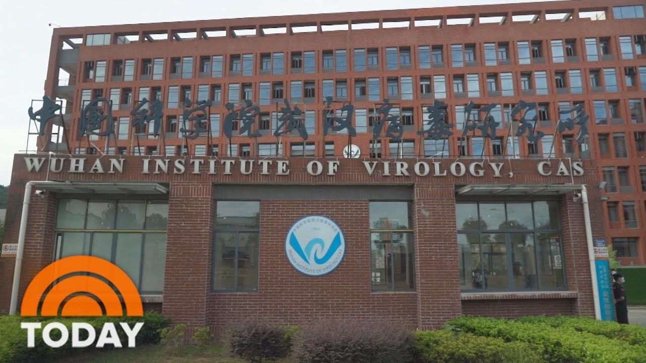 Wuhan Institute of Virology Blank Meme Template