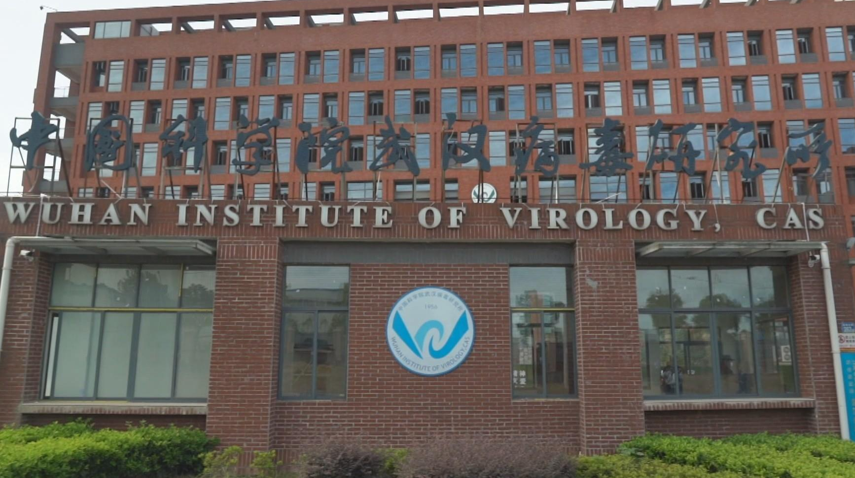High Quality Wuhan Institute of Virology Blank Meme Template