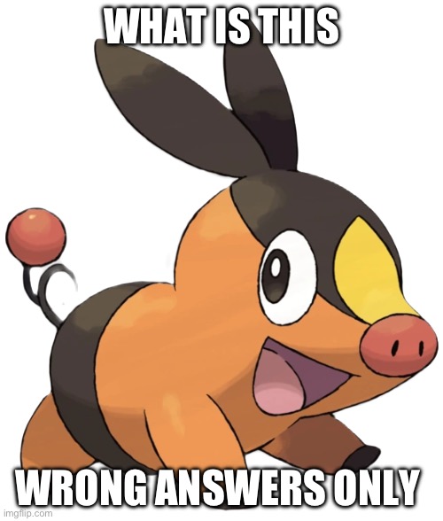 Tepig | WHAT IS THIS; WRONG ANSWERS ONLY | image tagged in tepig | made w/ Imgflip meme maker