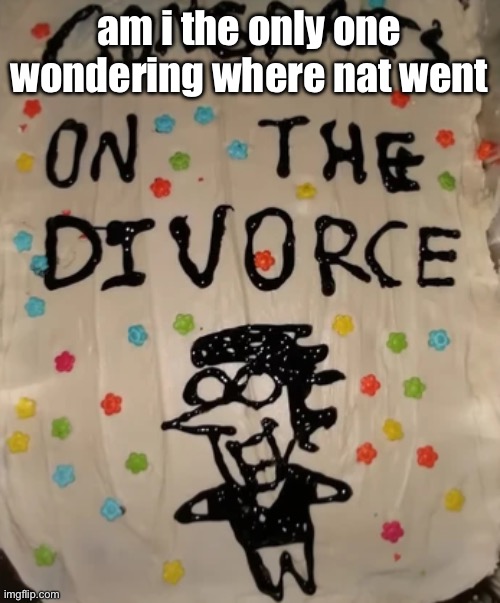 idk about you, but i don’t think i’ve seen her online in 2 days | am i the only one wondering where nat went | image tagged in congrats on the divorce | made w/ Imgflip meme maker