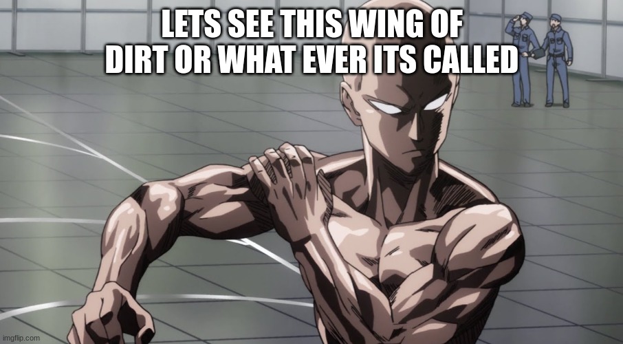 Saitama - One Punch Man, Anime | LETS SEE THIS WING OF DIRT OR WHAT EVER ITS CALLED | image tagged in saitama - one punch man anime | made w/ Imgflip meme maker