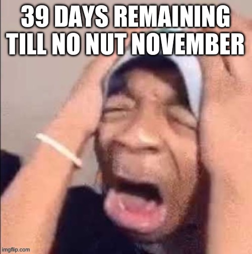 NOOOOOOOOOOOOOOOOOOOOOOOOOOOOOOOOOOOOOOOOOOOOOOOOOOOOOOOOOOOOOOO | 39 DAYS REMAINING TILL NO NUT NOVEMBER | image tagged in nooooooooooooooooooooooooooooooooooooooooooooooooooooooooooooooo | made w/ Imgflip meme maker