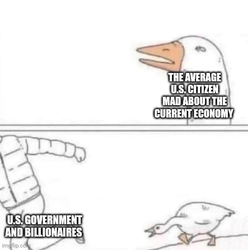 Me included | THE AVERAGE U.S. CITIZEN MAD ABOUT THE CURRENT ECONOMY; U.S. GOVERNMENT AND BILLIONAIRES | image tagged in goose chase | made w/ Imgflip meme maker