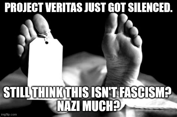 It's starting all over again. | PROJECT VERITAS JUST GOT SILENCED. STILL THINK THIS ISN'T FASCISM? 
NAZI MUCH? | image tagged in nazi,censorship,evil | made w/ Imgflip meme maker
