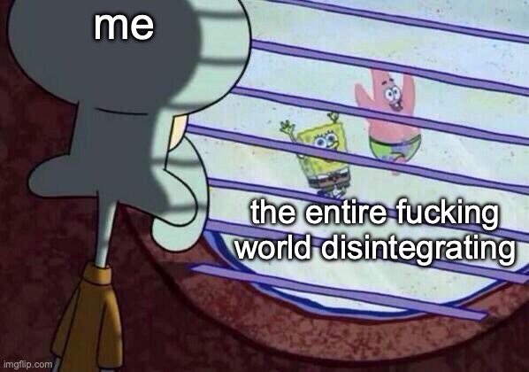 Squidward window | me the entire fucking world disintegrating | image tagged in squidward window | made w/ Imgflip meme maker