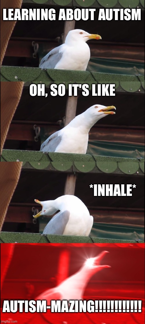 The frick ai | LEARNING ABOUT AUTISM; OH, SO IT'S LIKE; *INHALE*; AUTISM-MAZING!!!!!!!!!!!! | image tagged in memes,inhaling seagull,the ai is ableist,autism | made w/ Imgflip meme maker