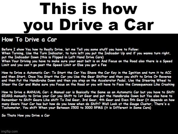 This is how you Drive a Car | image tagged in cars,car,automotive,tags,tag,ha ha tags go brr | made w/ Imgflip meme maker
