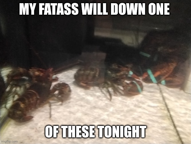 Goodbye lobster | MY FATASS WILL DOWN ONE; OF THESE TONIGHT | image tagged in goodbye,lobster,fun | made w/ Imgflip meme maker