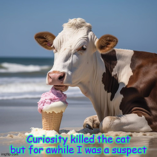 curiosity killed the car | Curiosity killed the cat but for awhile I was a suspect | image tagged in stevenwright,cows | made w/ Imgflip meme maker