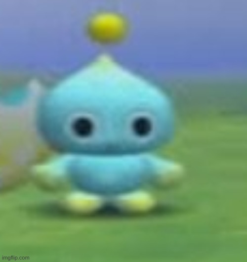 chao stare | image tagged in chao stare | made w/ Imgflip meme maker