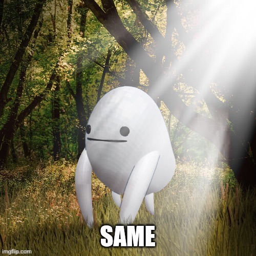 SAME | made w/ Imgflip meme maker