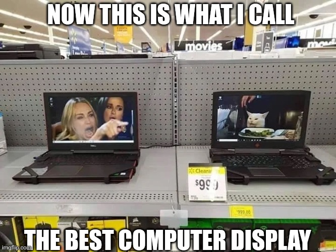 Cool | NOW THIS IS WHAT I CALL; THE BEST COMPUTER DISPLAY | image tagged in memes,woman yelling at cat,computer | made w/ Imgflip meme maker