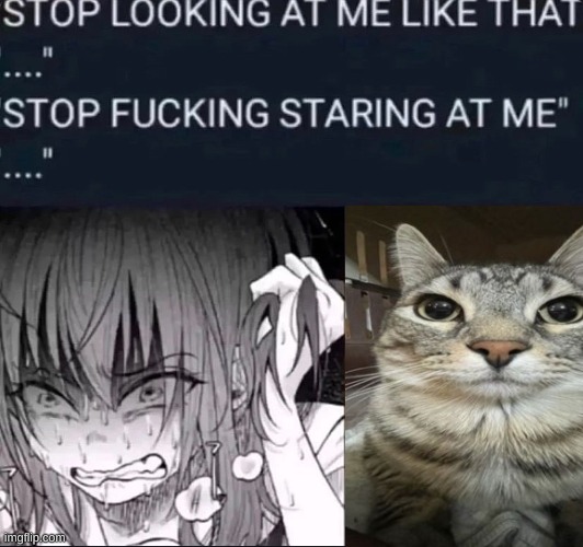 image tagged in stop looking at me like that stop fucking staring at me | made w/ Imgflip meme maker