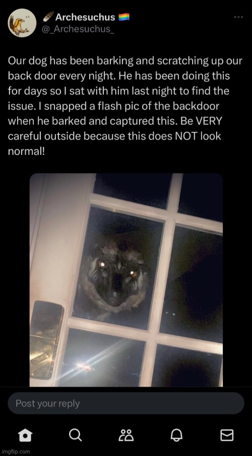 WHAT THE FUCK IS IT (guys it’s a bat don’t worry) | made w/ Imgflip meme maker