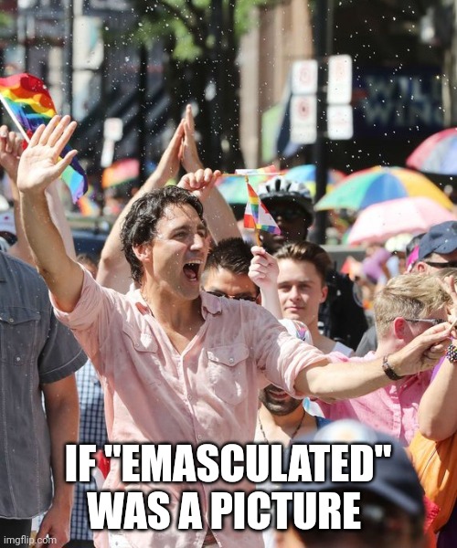 I wonder if Fidel would approve? | IF "EMASCULATED" WAS A PICTURE | image tagged in canada,justin trudeau,feminism,transgender,lgbtq | made w/ Imgflip meme maker