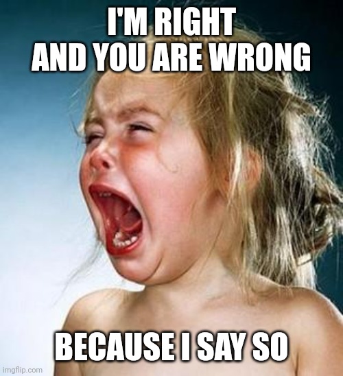 Internet Tantrum | I'M RIGHT AND YOU ARE WRONG BECAUSE I SAY SO | image tagged in internet tantrum | made w/ Imgflip meme maker