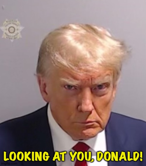 Donald Trump Mugshot | LOOKING AT YOU, DONALD! | image tagged in donald trump mugshot | made w/ Imgflip meme maker
