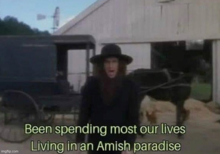 Been spending most our lives living in an Amish Paradise | image tagged in been spending most our lives living in an amish paradise | made w/ Imgflip meme maker