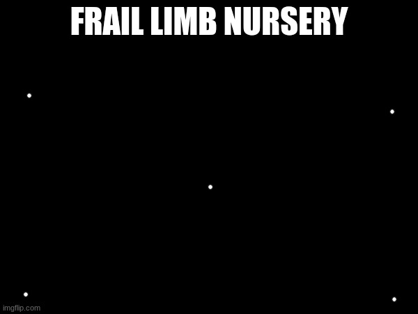 FRAIL LIMB NURSERY | made w/ Imgflip meme maker