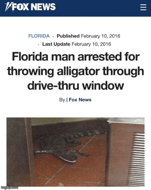 Imagine barely existing off minimum wage, and some guy throws an alligator at you | made w/ Imgflip meme maker