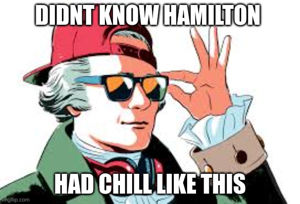 meme | DIDNT KNOW HAMILTON; HAD CHILL LIKE THIS | image tagged in funny memes | made w/ Imgflip meme maker