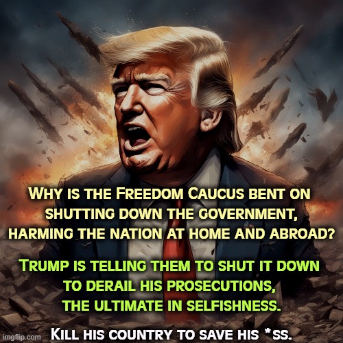 Trump doesn't care about you. Trump cares about Trump. | Why is the Freedom Caucus bent on 
shutting down the government, harming the nation at home and abroad? Trump is telling them to shut it down 
to derail his prosecutions, 
the ultimate in selfishness. Kill his country to save his *ss. | image tagged in maga,government,hurt,america,save,trump | made w/ Imgflip meme maker