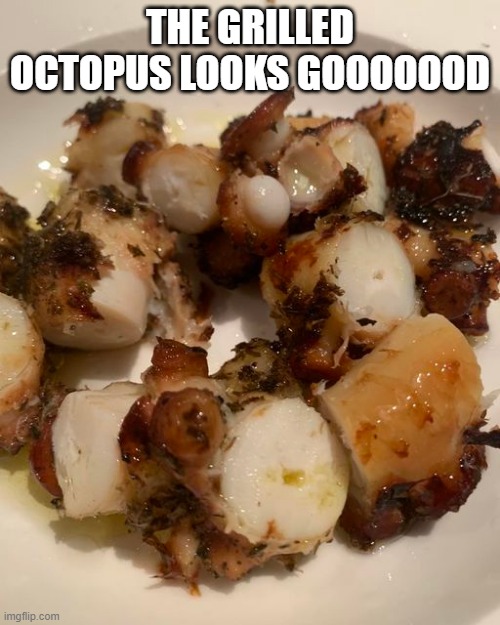 Octopus | THE GRILLED OCTOPUS LOOKS GOOOOOOD | image tagged in food | made w/ Imgflip meme maker