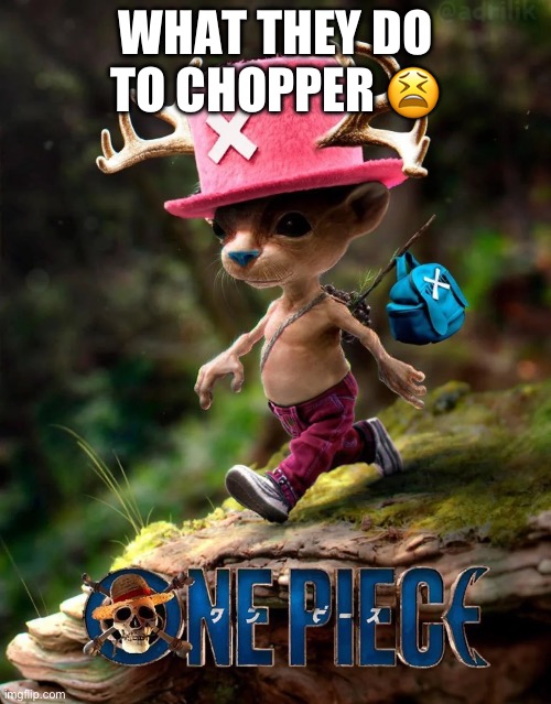 WHAT THEY DO TO CHOPPER 😫 | image tagged in onepiece | made w/ Imgflip meme maker