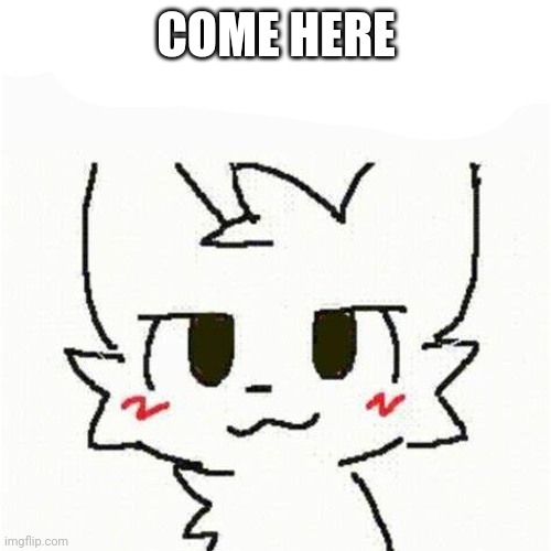 boykisser | COME HERE | image tagged in boykisser | made w/ Imgflip meme maker