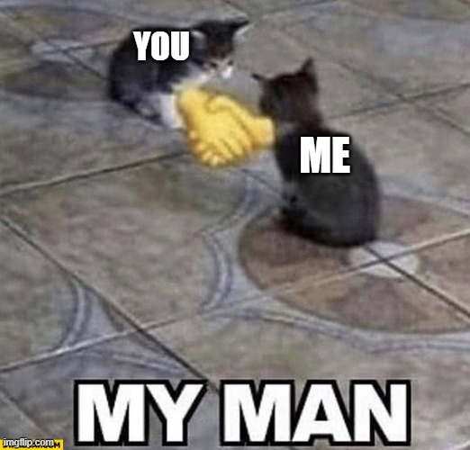 Cats shaking hands | YOU ME | image tagged in cats shaking hands | made w/ Imgflip meme maker