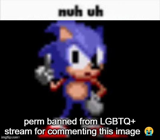 CD Sonic Nuh Uh | perm banned from LGBTQ+ stream for commenting this image 😭 | image tagged in cd sonic nuh uh | made w/ Imgflip meme maker