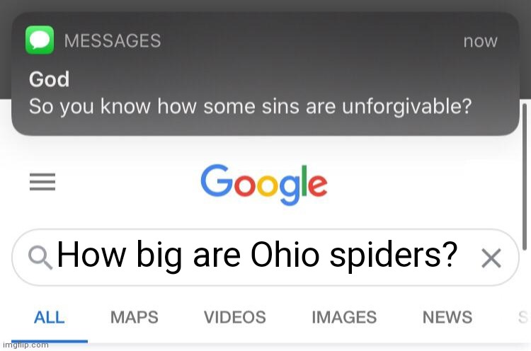 So you know how some sins are unforgivable? | How big are Ohio spiders? | image tagged in so you know how some sins are unforgivable,ohio,spider | made w/ Imgflip meme maker