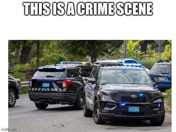 THIS IS A CRIME SCENE | made w/ Imgflip meme maker
