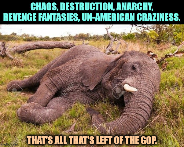 CHAOS, DESTRUCTION, ANARCHY, REVENGE FANTASIES, UN-AMERICAN CRAZINESS. THAT'S ALL THAT'S LEFT OF THE GOP. | image tagged in maga,republican party,dead,chaos,destruction,revenge | made w/ Imgflip meme maker